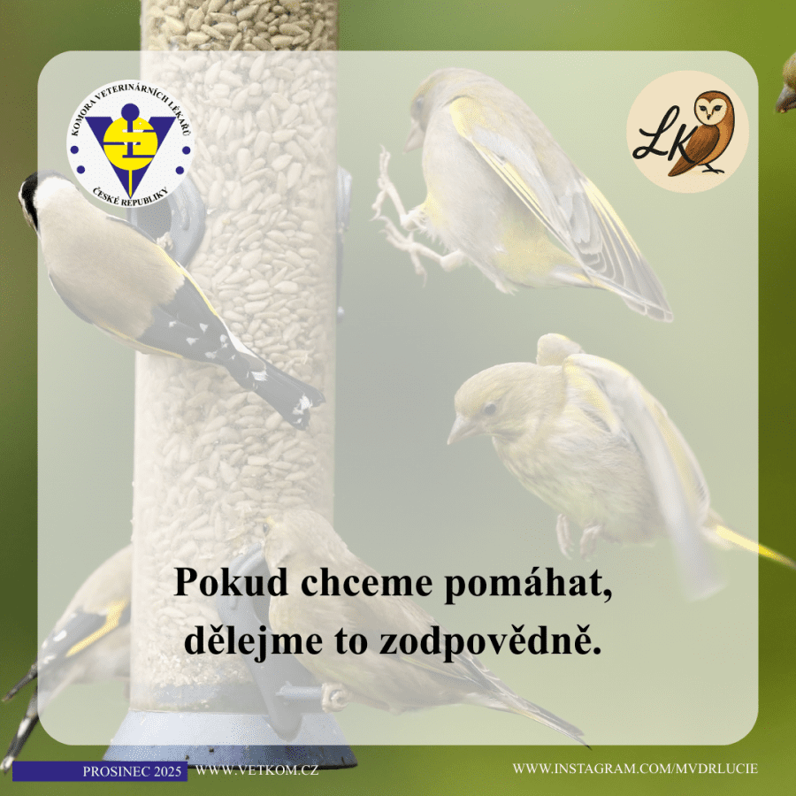 2025-12-08-13. jak pomoci ptactvu v zimě.png